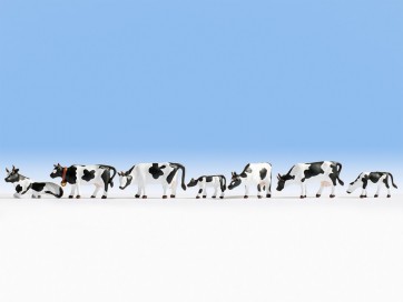 Noch 45721 - Kühe, schwarz-weiß