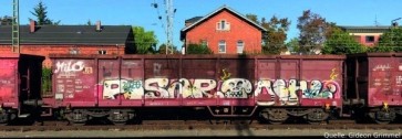 Piko 58392 - 2er Set Offener Güterwagen Eaos DB AG Ep. V, mit Graffiti