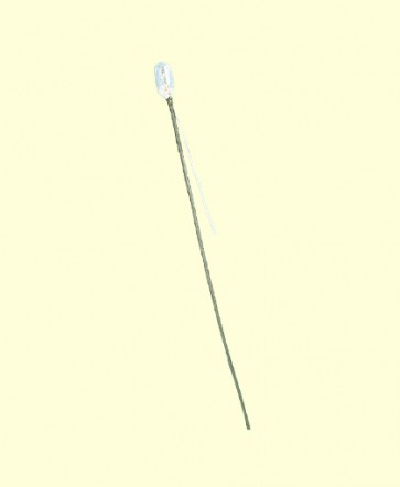 Brawa 3267 - Kabelbirne mit 1 Kabel, 3V15mA, klar